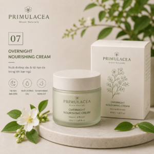 Primulacea Overnight Nourishing Cream